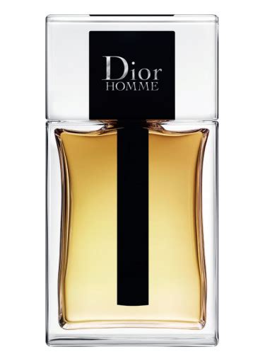 dior homme fiyat|dior uomo shop online.